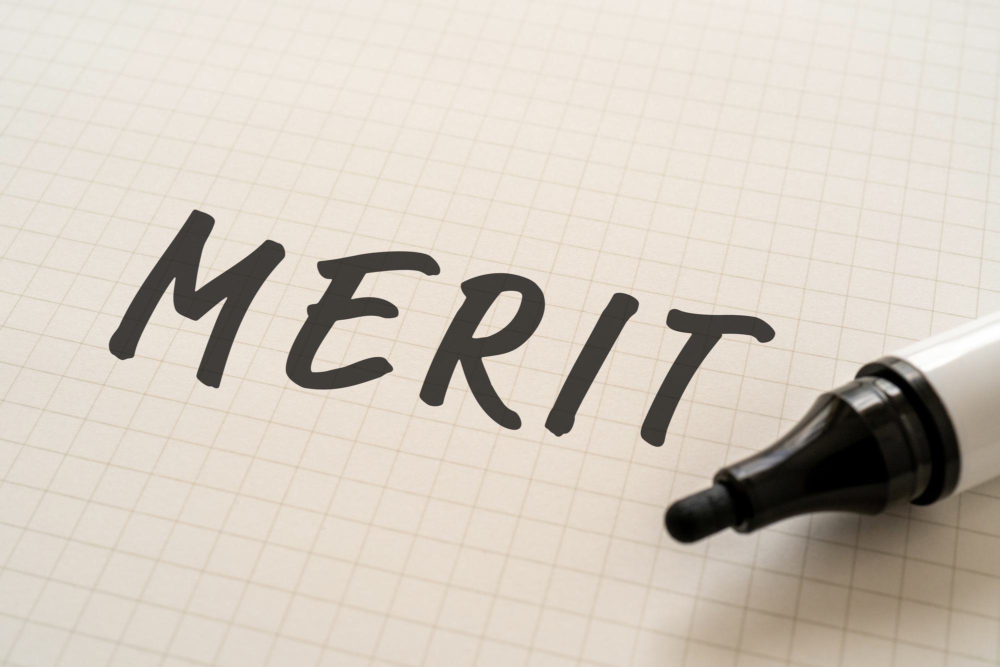 フェルトペンでMERITと書いた方眼紙